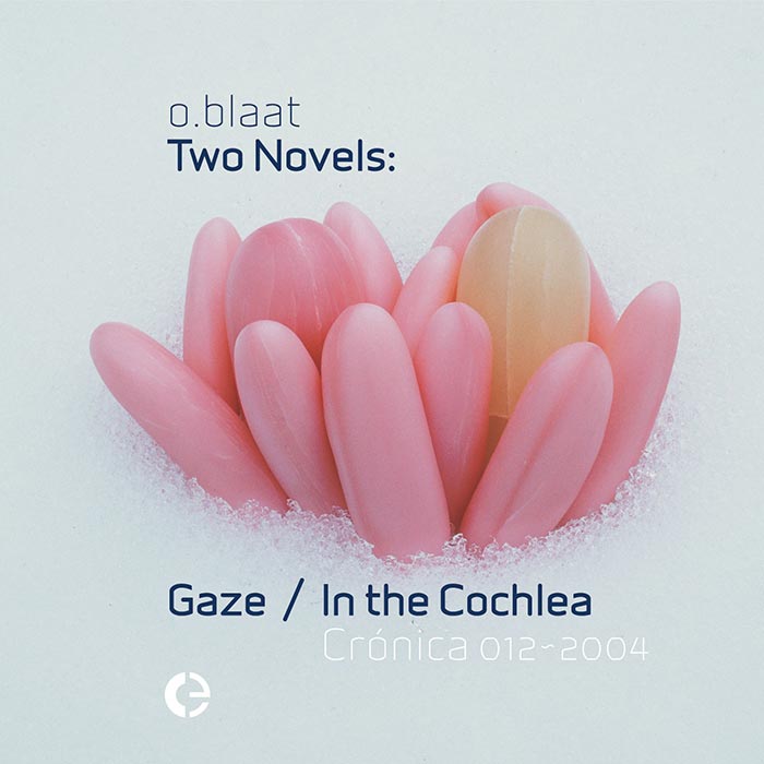 Two Novels: Gaze / In the Cochlea cover